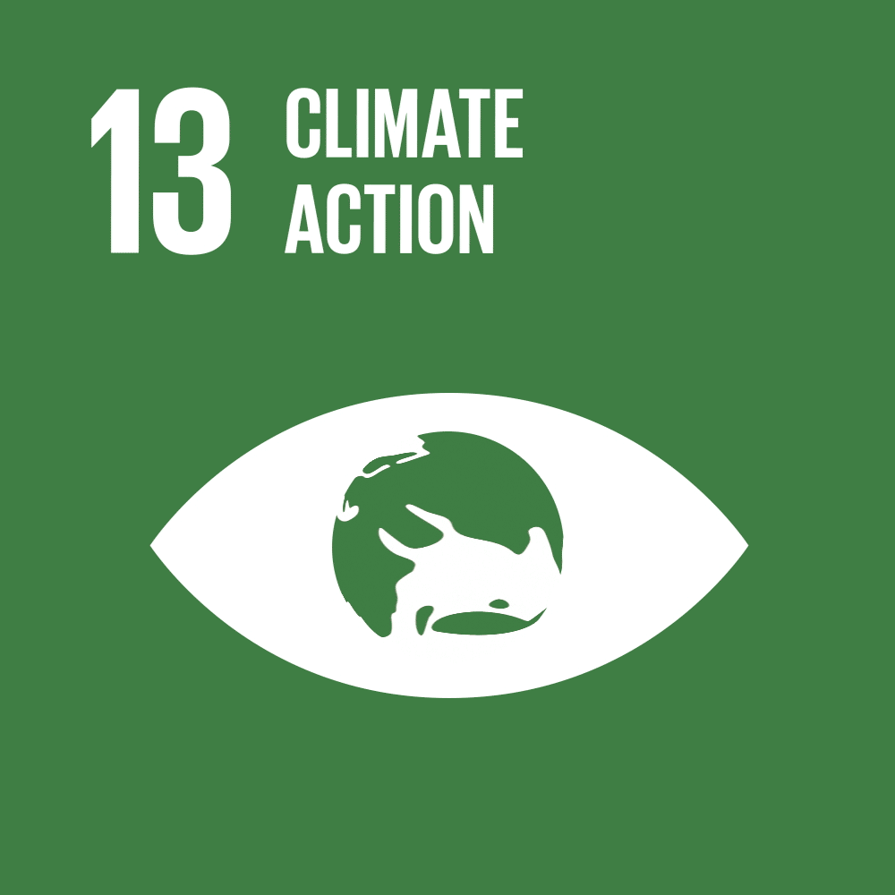 SDG 13 Climate Action